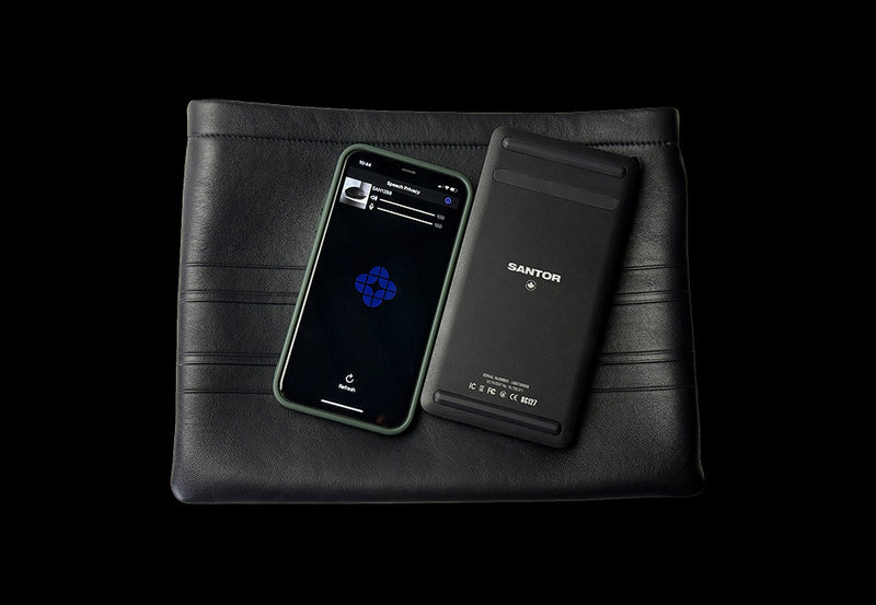 Santor Security